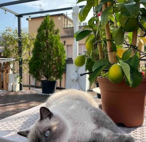 Appartamento Terrazza57 In Centro Storico *